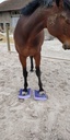 SURE FOOT PAD® - Medium PAD