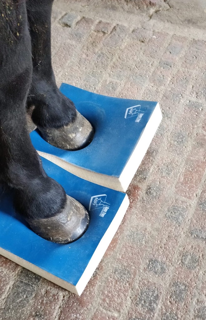 SURE FOOT PAD® - Soft