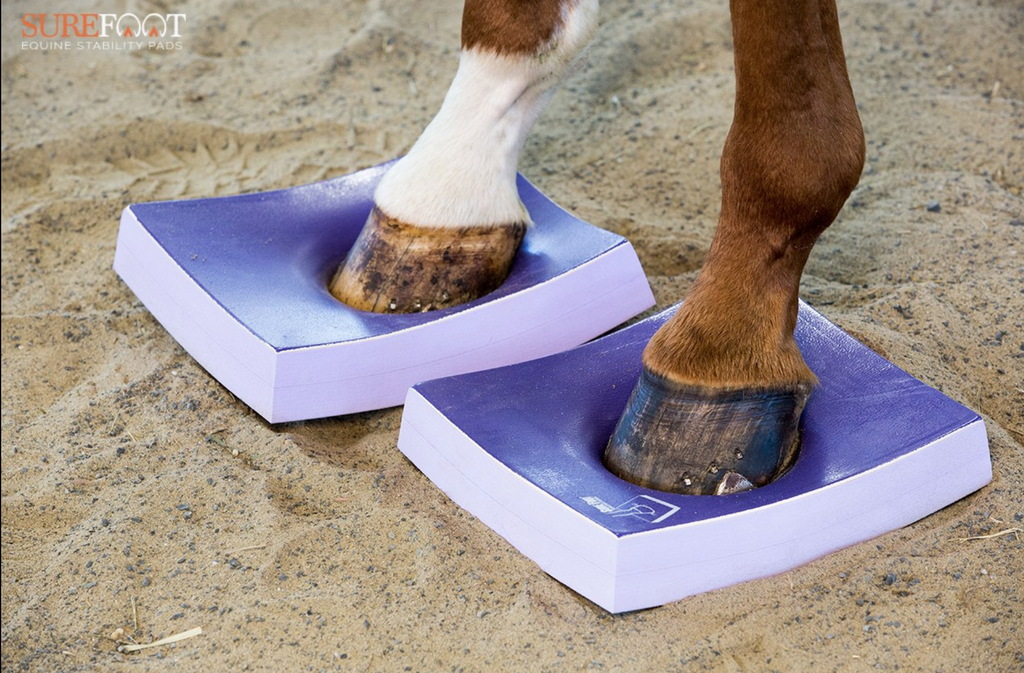 SURE FOOT PAD® - Medium PAD